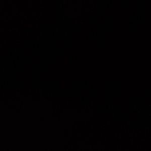 Meet your Posher, Dan